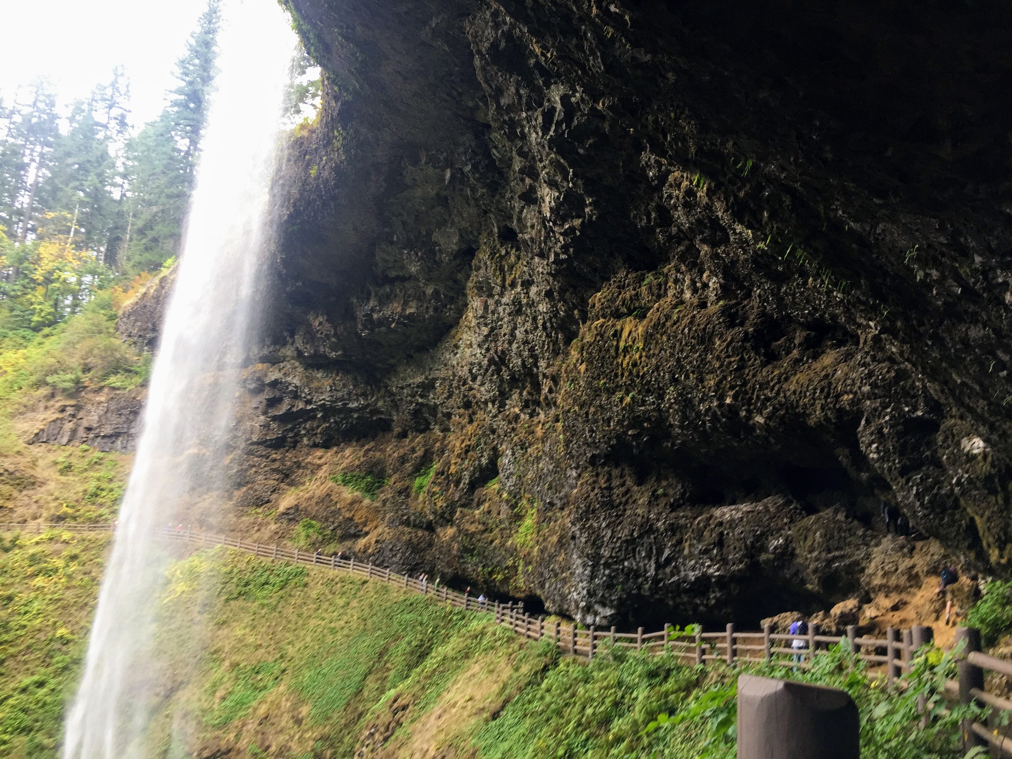 2017-10-01 Oregon 01 Silver Falls 16