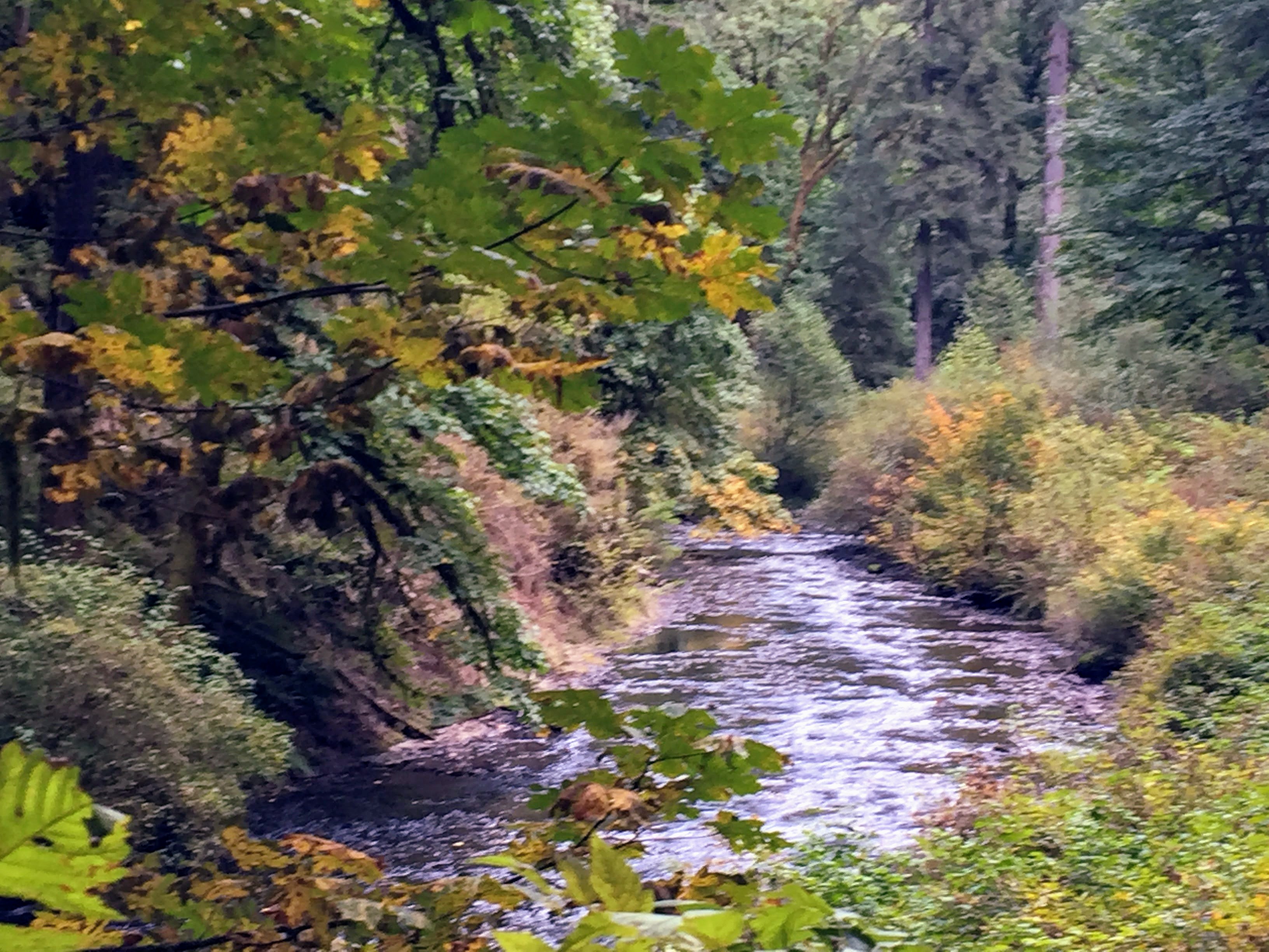 2017-10-01 Oregon 01 Silver Falls 32