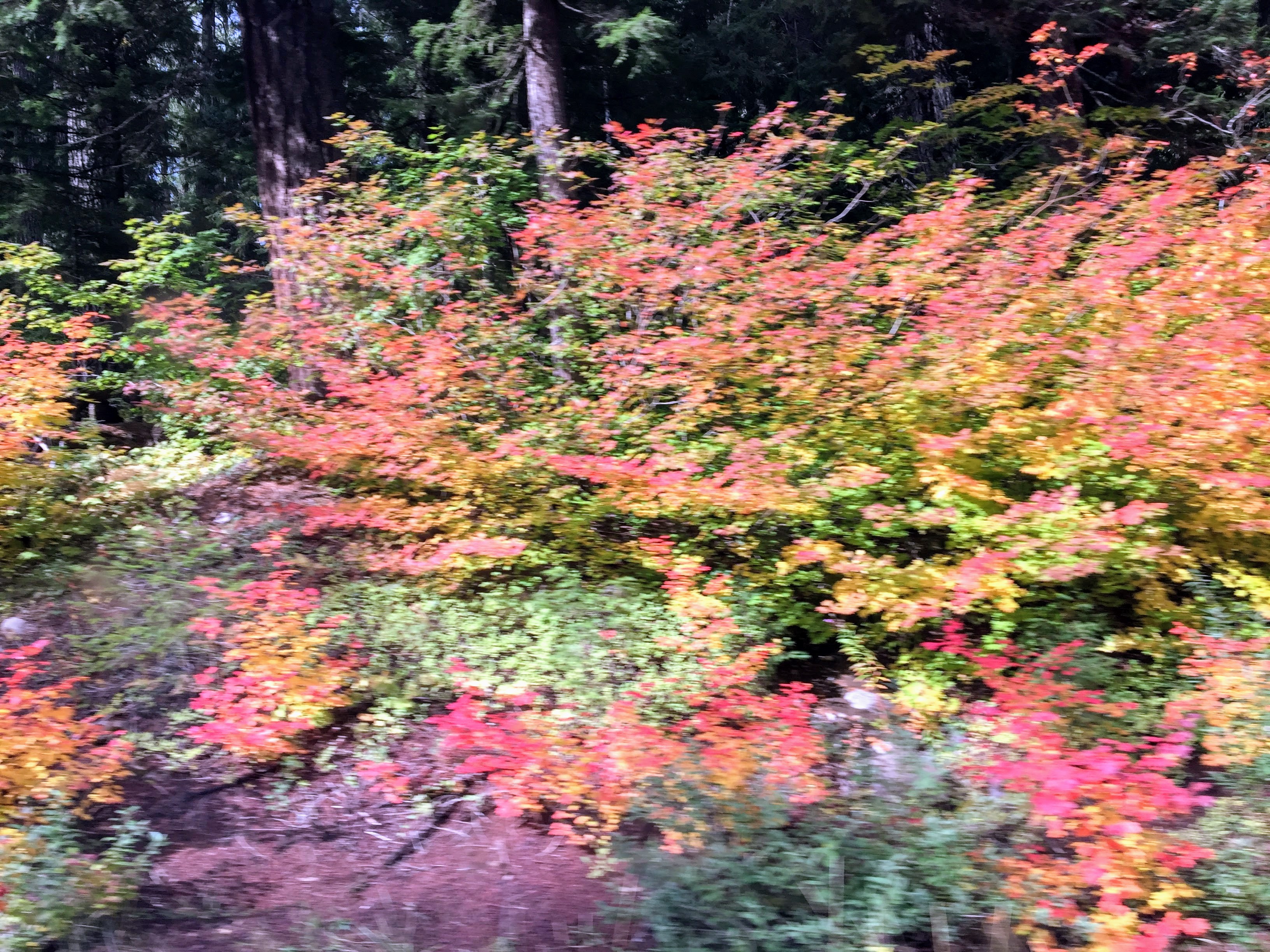 2017-10-02 Oregon 02 Views 06