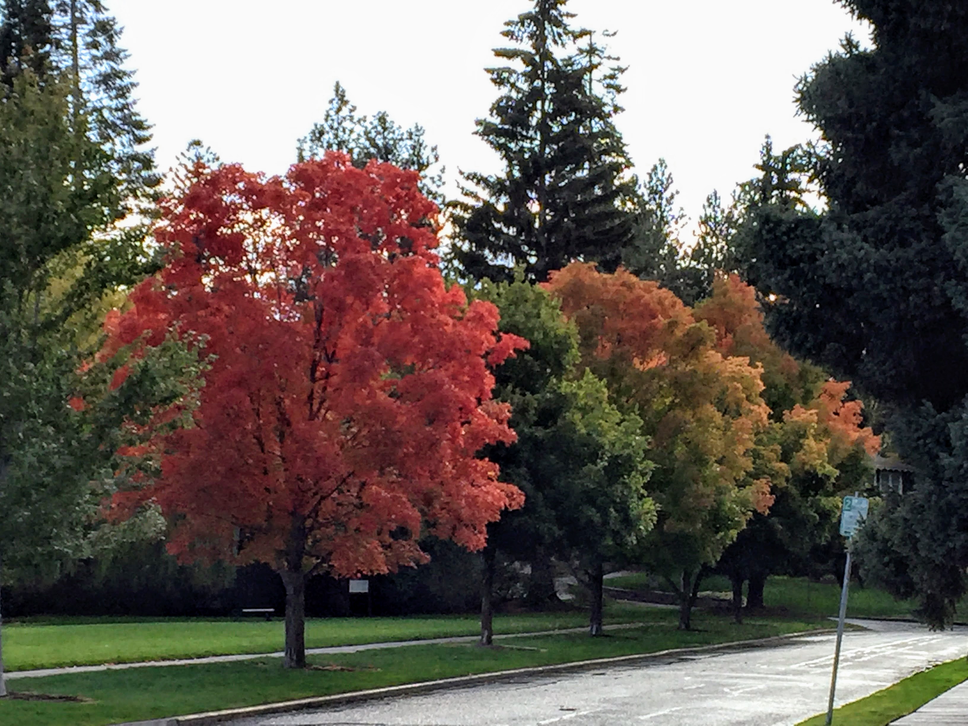 2017-10-02 Oregon 03 Bend 12