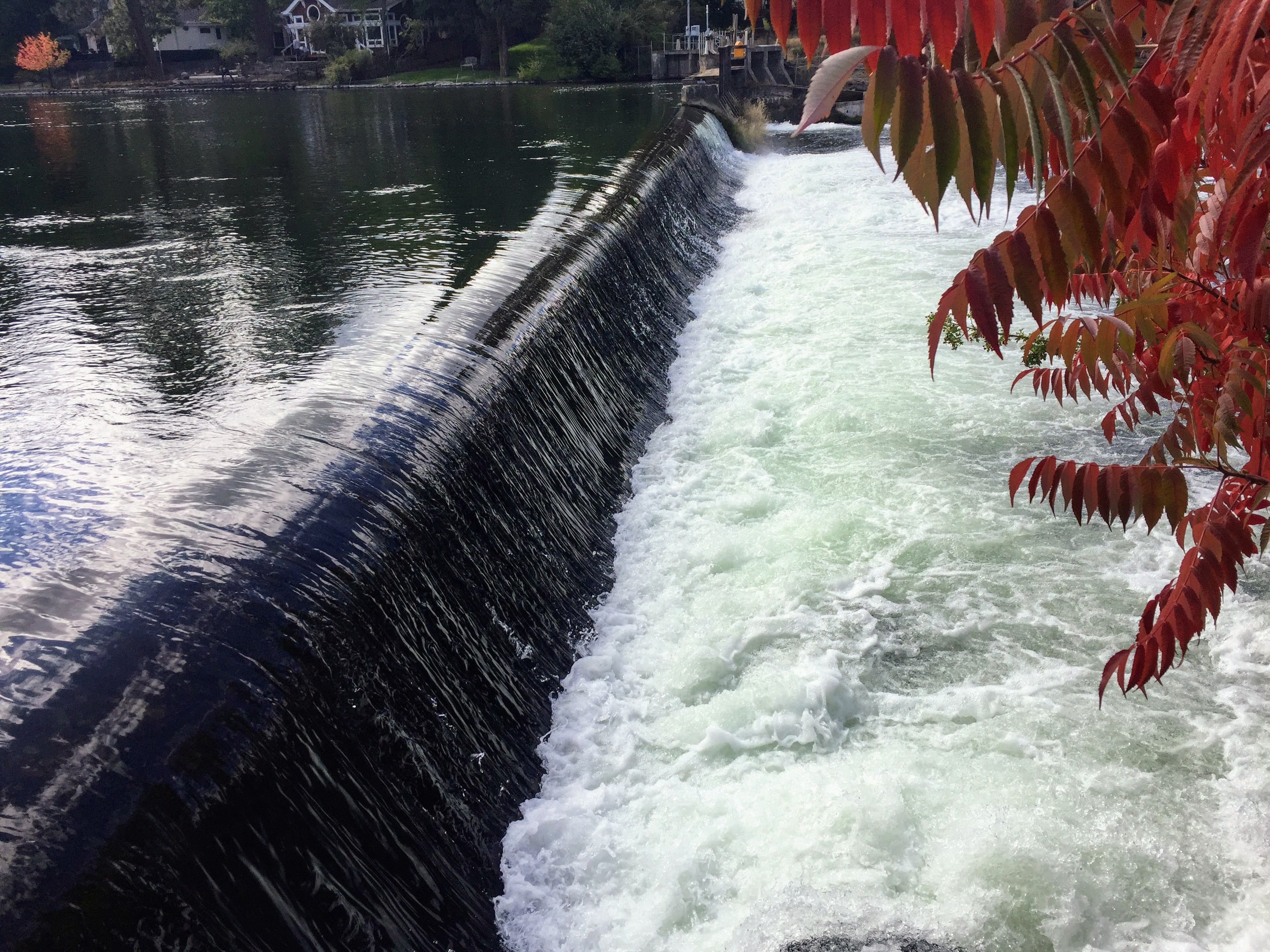 2017-10-03 Oregon 06 Bend 06