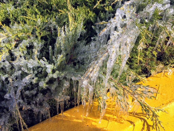 2017-10-04 Oregon 08 Bend 01 Ice