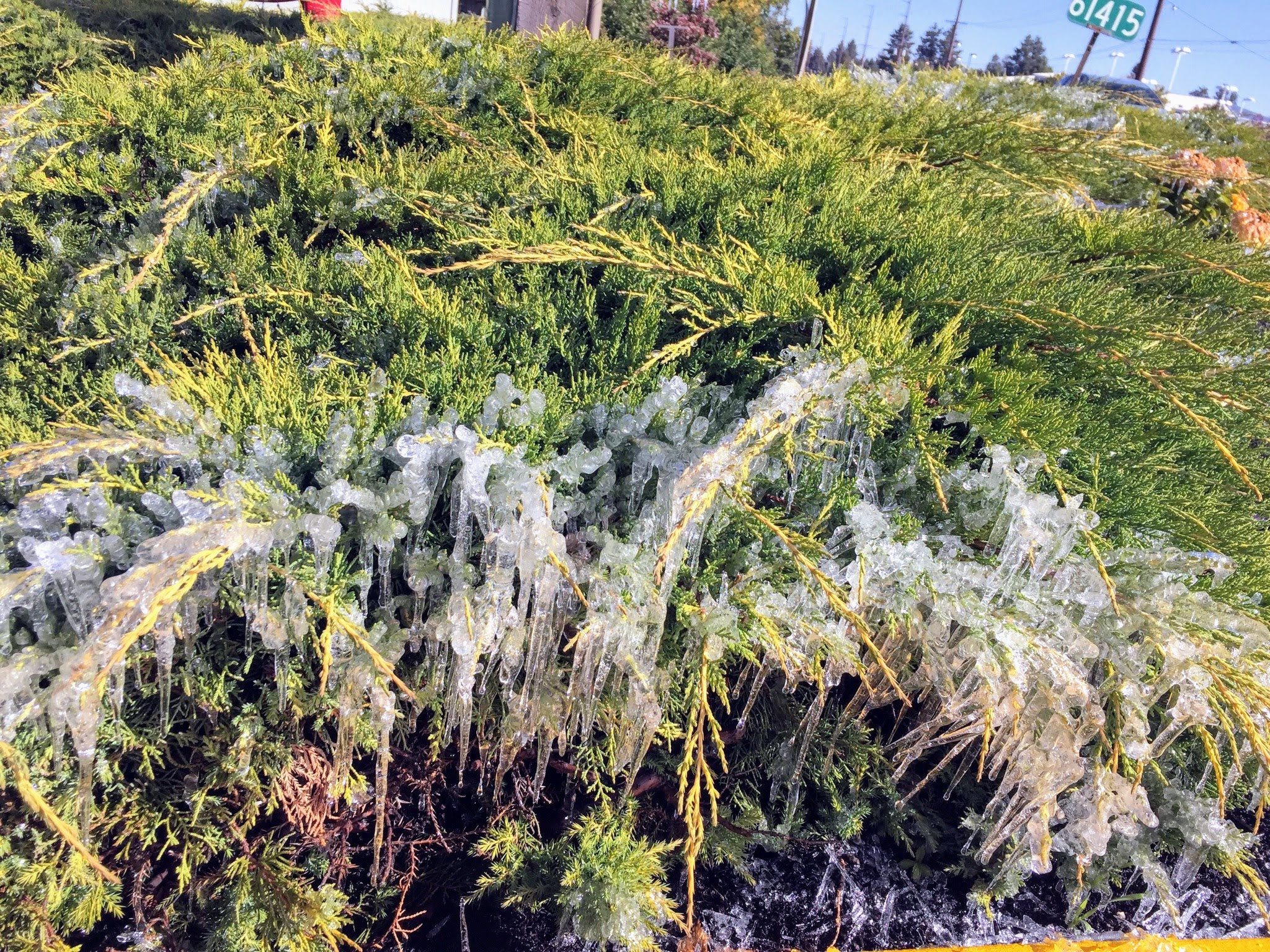 2017-10-04 Oregon 08 Bend 012Ice