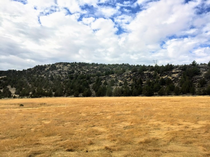 2017-10-04 Oregon 09 Views 03