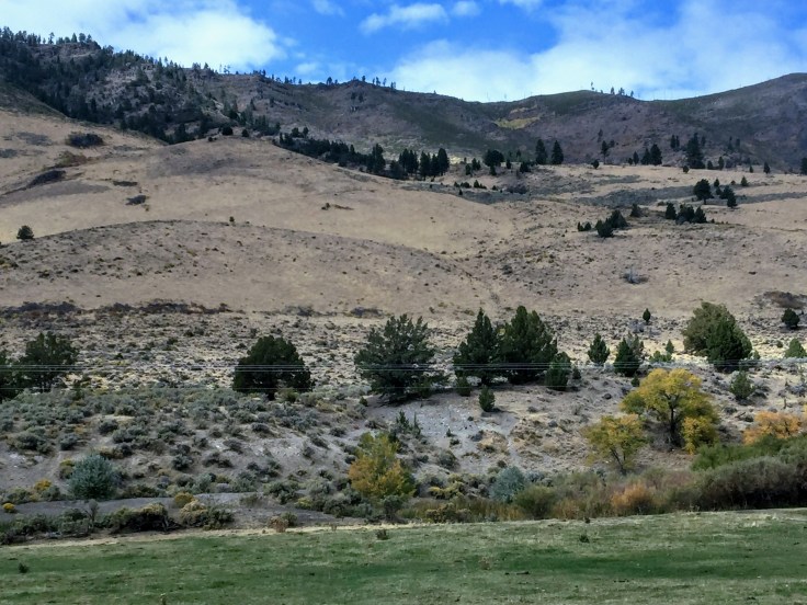 2017-10-04 Oregon 09 Views 04