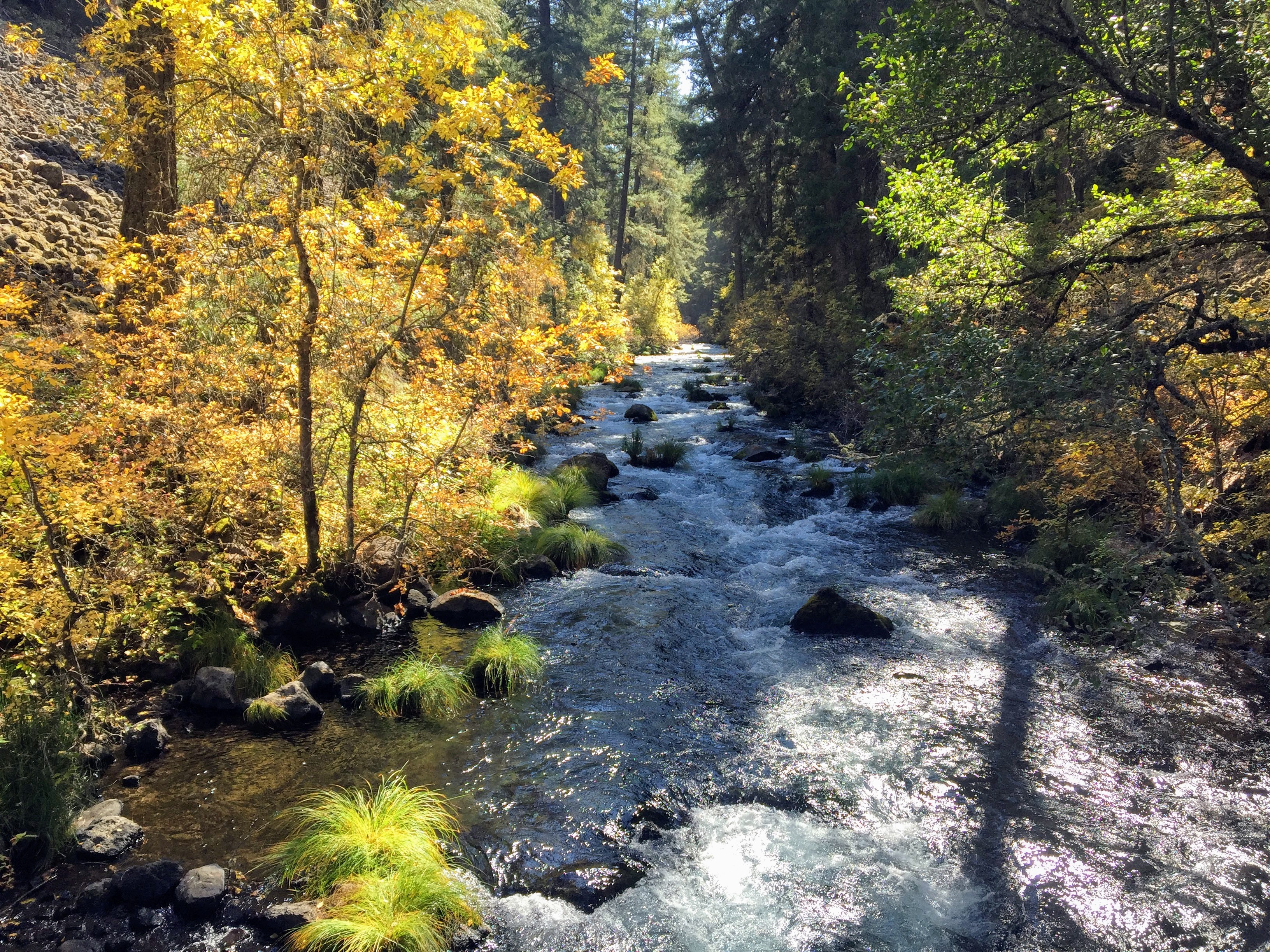2017-10-05 California 02 Burney Falls 07