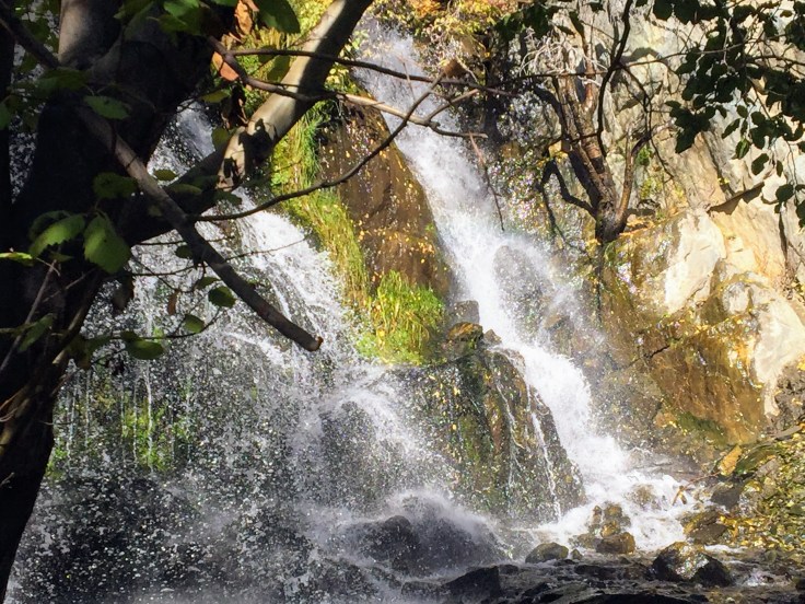 2017-10-08 California 01 Carson City 03