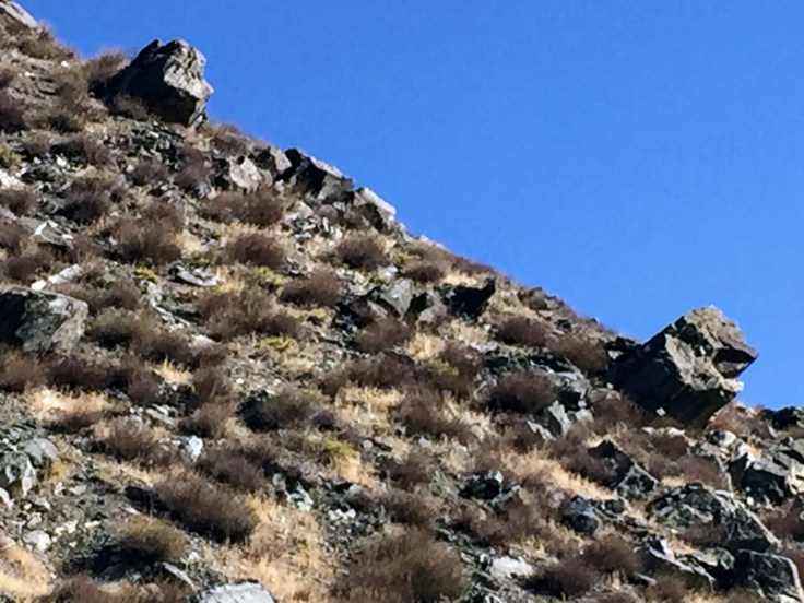 2017-10-08 California 01 Carson City 06