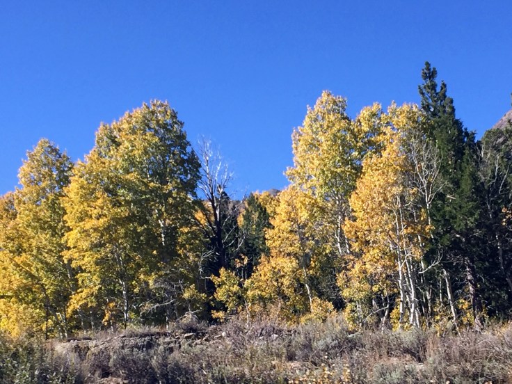 2017-10-08 California 02 Views 02