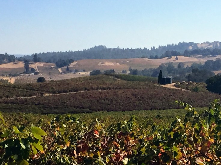 2017-10-13 California 01 Bella Grace 06