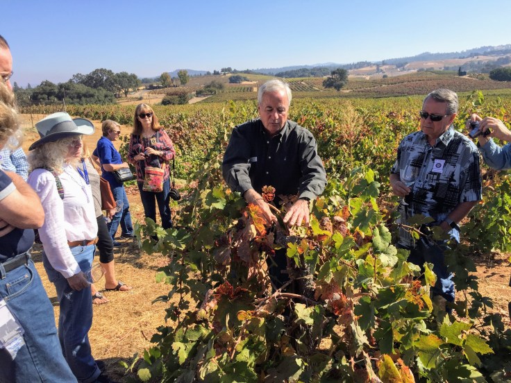 2017-10-13 California 01 Bella Grace 12